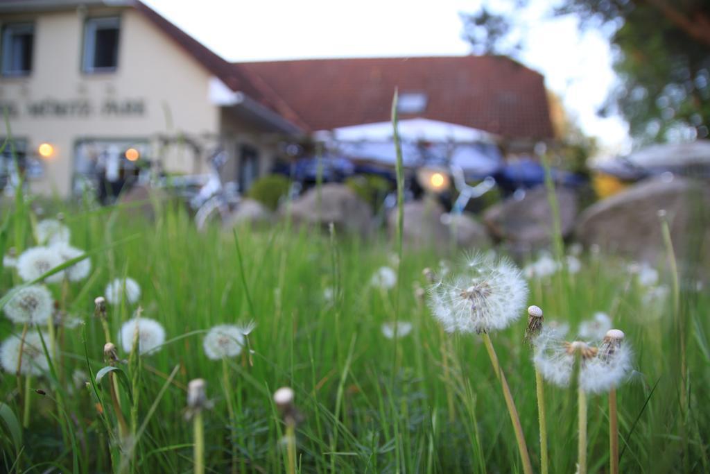 Hotel Mueritz-Park Boek Bagian luar foto